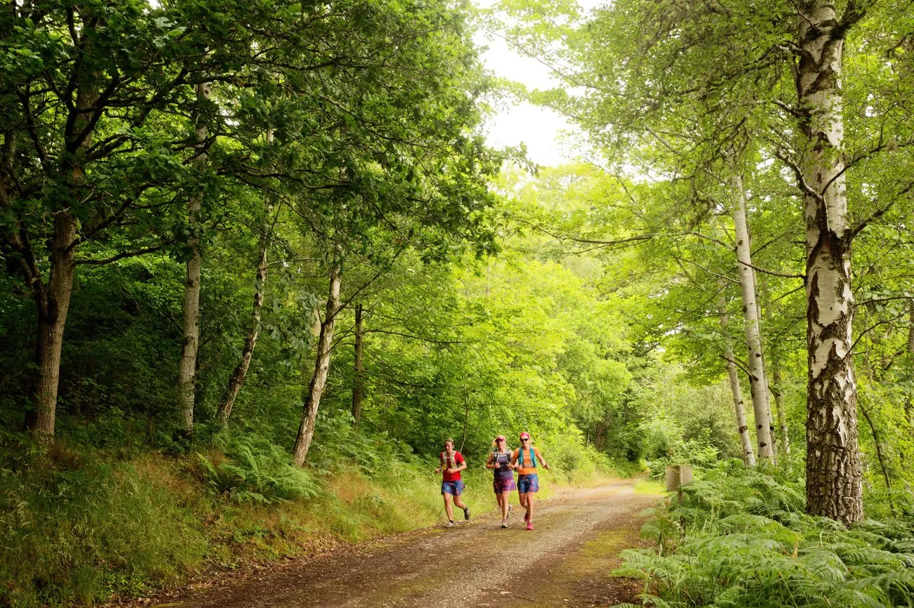 Nhóm runner chạy tập trên đường mòn