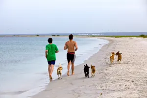 Hai người chạy bộ nhẹ thư thái trên bãi biển