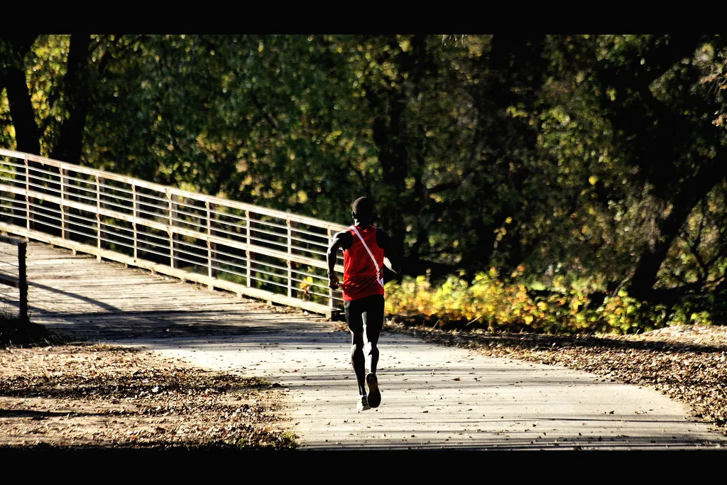 Runner chạy một mình trên đường mòn rừng thu