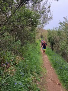 Các runner quyết tâm vượt dốc trên đường trail