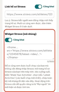 Ô dán mã Widget Strava trong form
