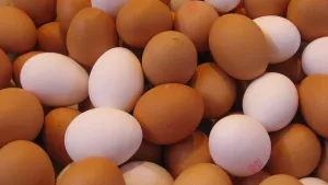 Trứng gà — nguồn đạm cho người chạy bộ